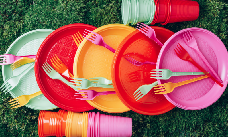 צלחות פלסטיק